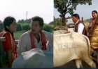 निगम महापौर पति संग बैलगाड़ी में घूमने का वीडियो वाइरल