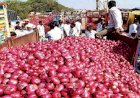 प्याज की जमाखोरी पर लगाम कसने के लिए केंद्र सरकार का बड़ा फैसला...