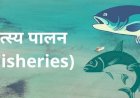 मत्स्यपालन योजना के नाम पर निजी कपंनी द्वारा कृषकों के साथ फर्जीवाड़ा किये जाने का अंदेशा, सहायक संचालक ने कलेक्टर को लिखा पत्र