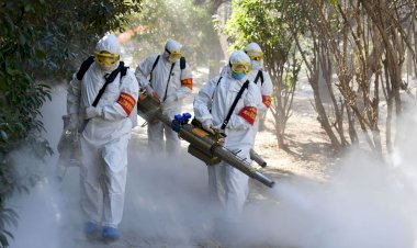 छिंदवाड़ा के पड़ोसी जिले में कोरोना पॉजिटिव, प्रशासन अपना ध्यान केंद्रित करे ....