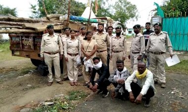 वन विभाग की बड़ी कार्यवाही : टैक्टर सहित अवैध सागौन जप्त