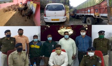 मवेशियों से भरा दस चक्का लूटकर फरार होने वाले आरोपी धराये, पुलिस ने महाराष्ट्र से किया गिरफ्तार
