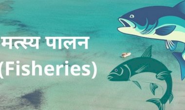 मत्स्यपालन योजना के नाम पर निजी कपंनी द्वारा कृषकों के साथ फर्जीवाड़ा किये जाने का अंदेशा, सहायक संचालक ने कलेक्टर को लिखा पत्र