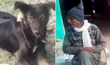फिल्म एंटरटेनमेंट के तर्ज पर बेटों के दुर्व्यवहार से नाराज क‍िसान ने अपने कुत्‍ते के नाम कर दी आधी जायदाद