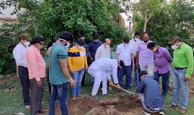 जैव विविधता पार्क के रूप में विकसित होगा भारत माता परिसर,पर्यावरण दिवस के अवसर पर किया गया पौधरोपण