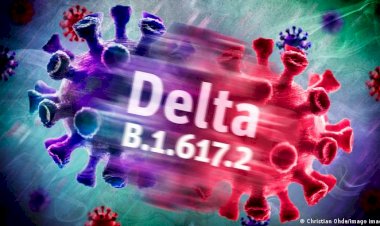 मध्यप्रदेश में कोरोना ने बढ़ाई चिंता, 16 नए पॉजिटिव केस, क्या कहते है गृह मंत्री -देखे पूरी खबर 