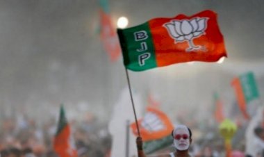 पंचायतों के बाद निकाय अध्यक्ष चुनाव में भी भाजपा का दबदबा कायम, 72 में से 66 पर जमाया कब्जा, पढ़े पूरी खबर 