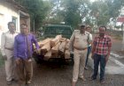 आखिर किस अधिकारी के संरक्षण में काटी जा रही