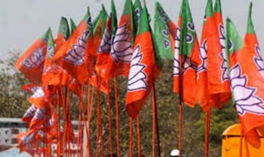 भाजपा छिंदवाड़ा नगर मंडल एक कार्यकारिणी घोषित महामंत्री बने दिनेश मालवी, मिडिया का प्रभार दुर्गेश नरोटे के जिम्मे