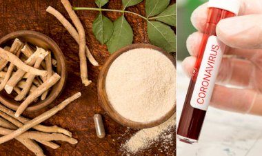 कोरोना और आयुर्वेद: आखिर क्या है आयुर्वेदिक दृष्टिकोण इस महामारी में ? देखे पूरी खबर 