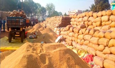मध्यप्रदेश में आज से समर्थन मूल्य पर धान की खरीदी, ऐसे होगा किसानों को राशि का भुगतान