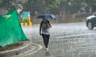 MP Weather: फिर बदला मौसम, आज 20 जिलों में बारिश की चेतावनी, बिजली गिरने का भी अलर्ट