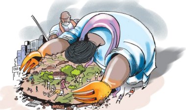 प्रशासन के नाक के निचे रिटायर्ड बैंक कर्मी ने किया सरकारी जगह पर अपना कब्जा