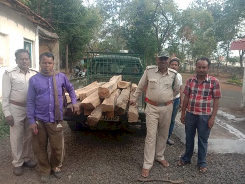 आखिर किस अधिकारी के संरक्षण में काटी जा रही