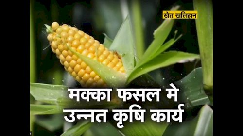 कृषक और विपणन समितियों के मध्य संवादात्मक समारोह का आयोजन