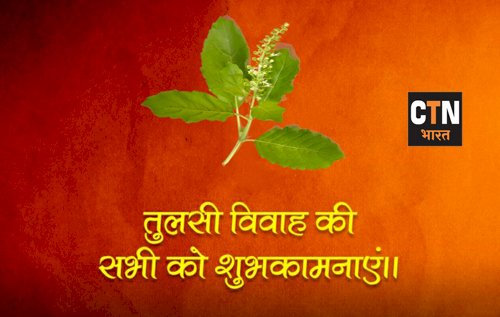 क्या है तुलसी की पूजा और विवाह की विधि, जानें पूजा मंत्र