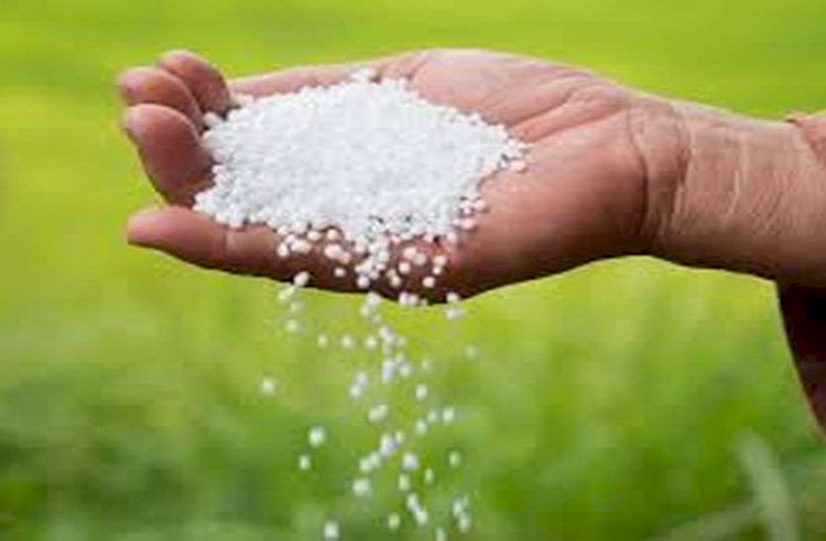 ट्रक से अवैध यूरिया खाद की बोरियां जब्त, वाहन थाने पर खड़ा कराया