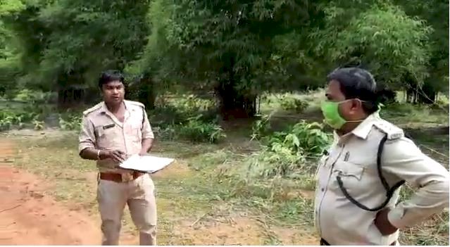 अवैध बांस कटाई पर आमने सामने हुए बीट गार्ड और रेंजर...... बीट गार्ड ने रेंजर को कहा खड़े-खड़े वर्दी उतरवा दूंगा - Video Viral