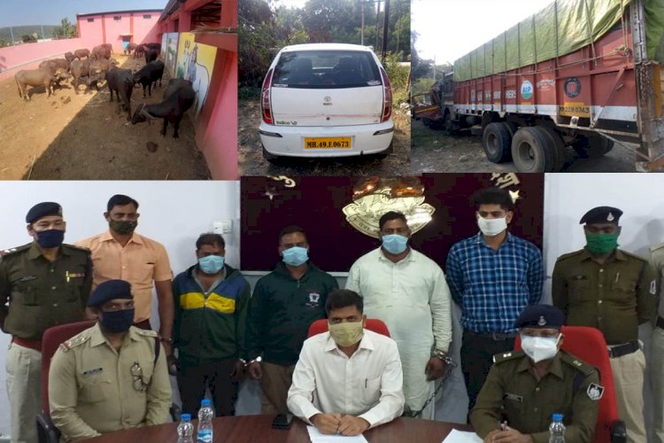 मवेशियों से भरा दस चक्का लूटकर फरार होने वाले आरोपी धराये, पुलिस ने महाराष्ट्र से किया गिरफ्तार
