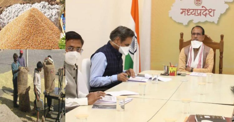 प्रदेश सरकार का फैसला : 50 पैसे होगा मंडी शुल्क, आगामी 3 माह के लिए मिलेगी छूट