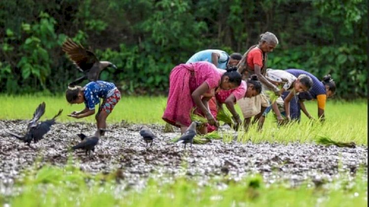 प्रदेश सरकार ने किसानों को दिया बड़ा तोहफा, खाते में 385 करोड़ 98 लाख रुपए अंतरित